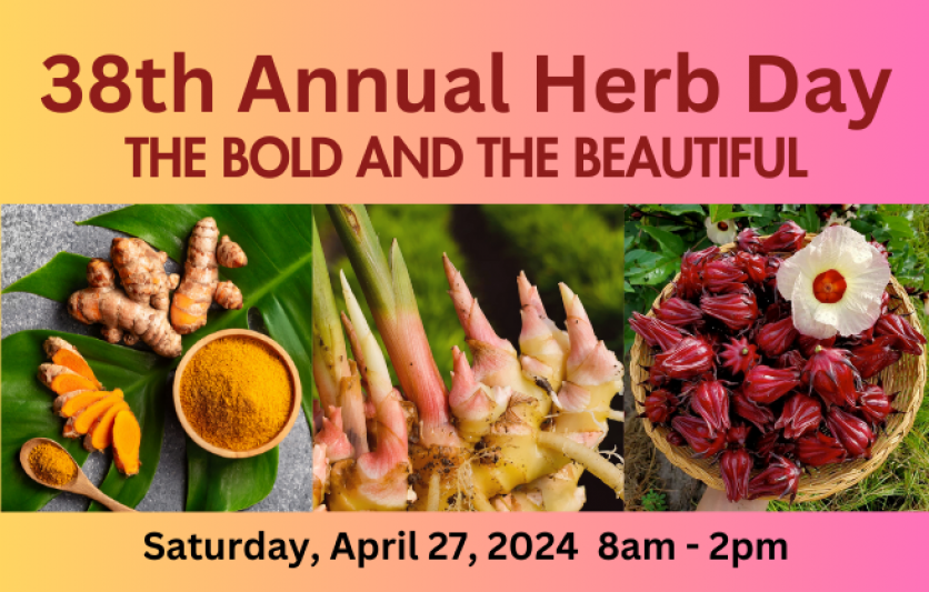 38th Annual Herb Day