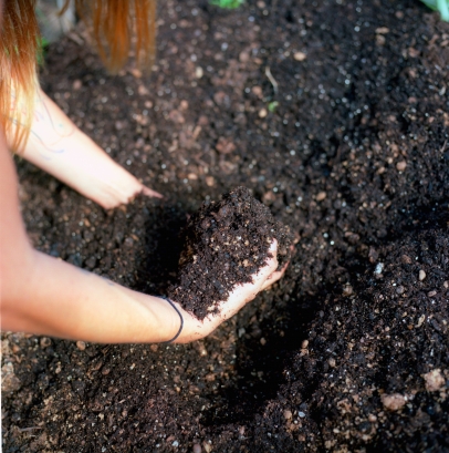 Checking tilth of compost before applying to gardens.