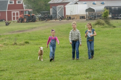 girls and lamb on farm
