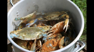 chesapeake bay seasoning, crabs
