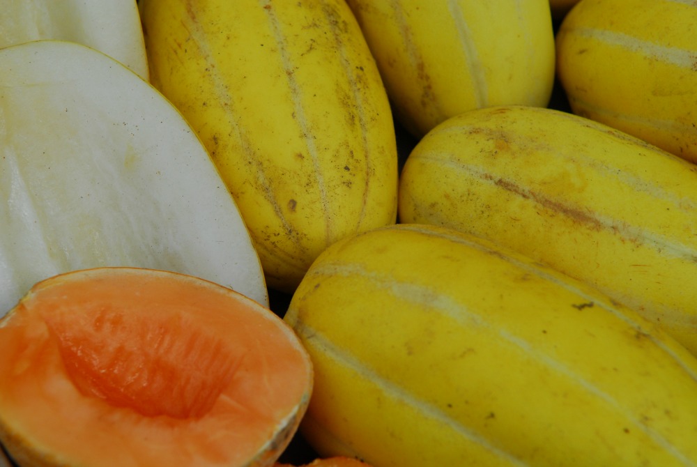 melons.JPG