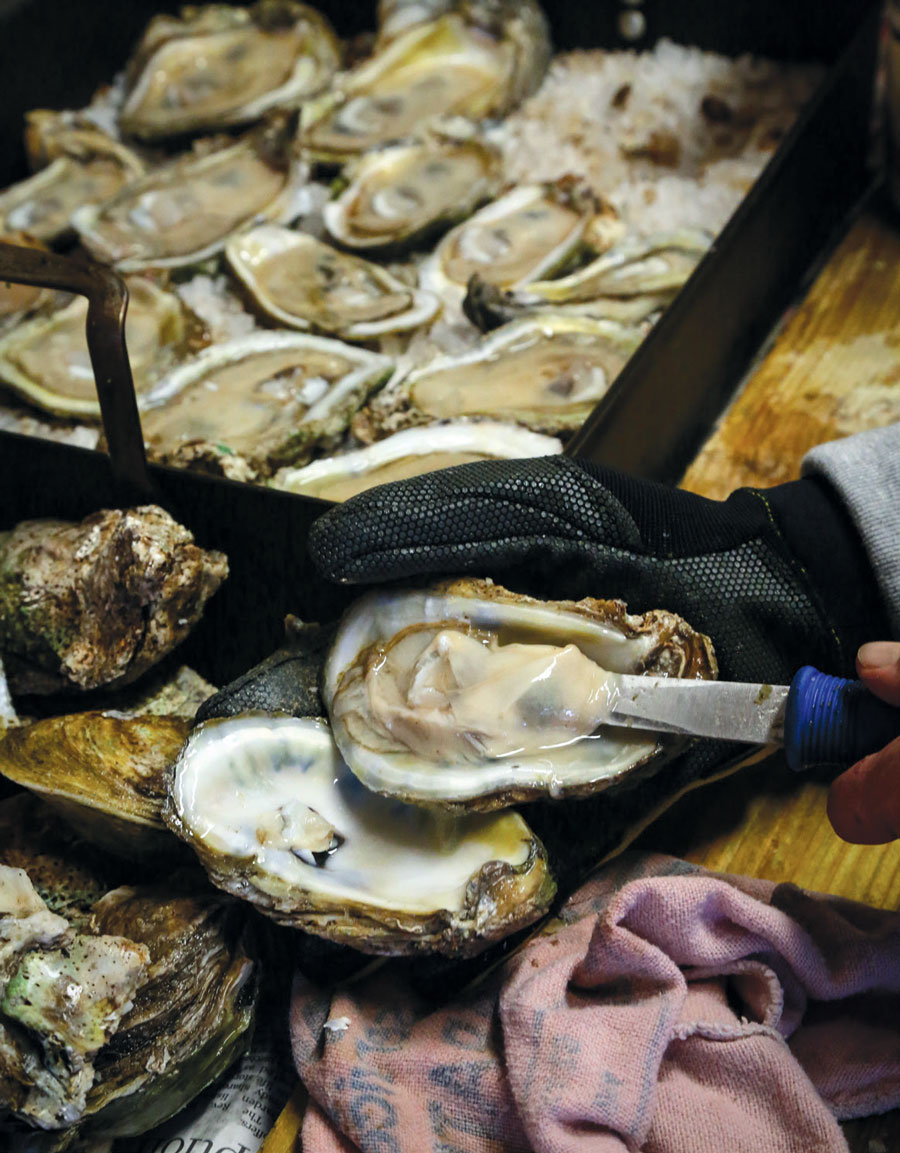 oysters-shucked.jpg