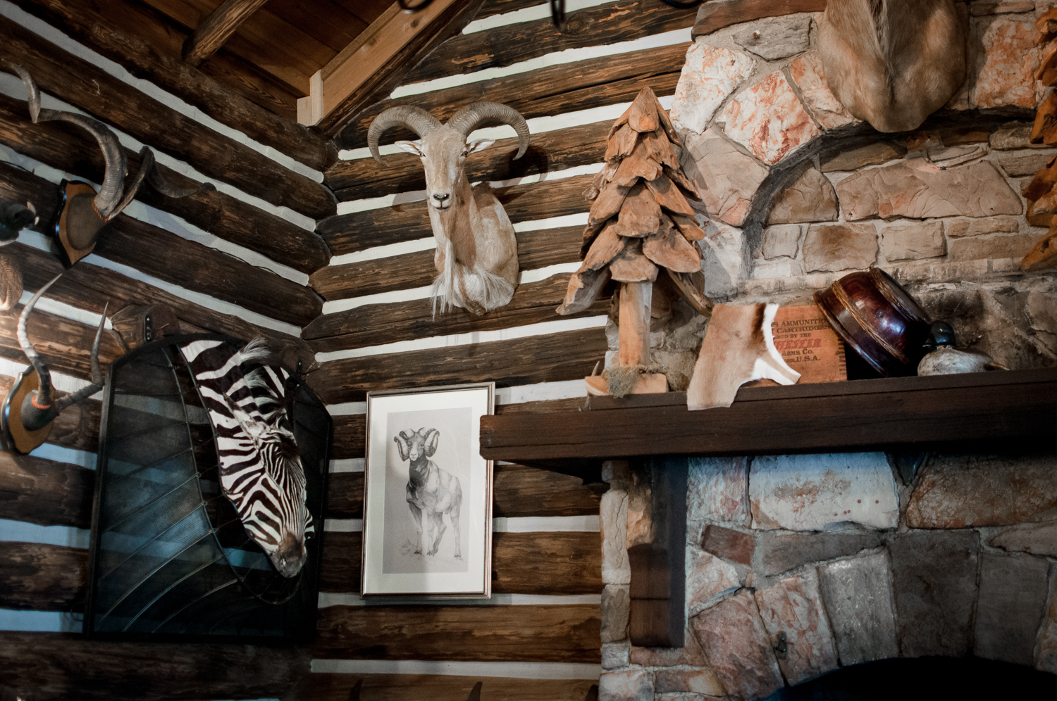 Rainbow-Lodge-Dining-Room.jpg
