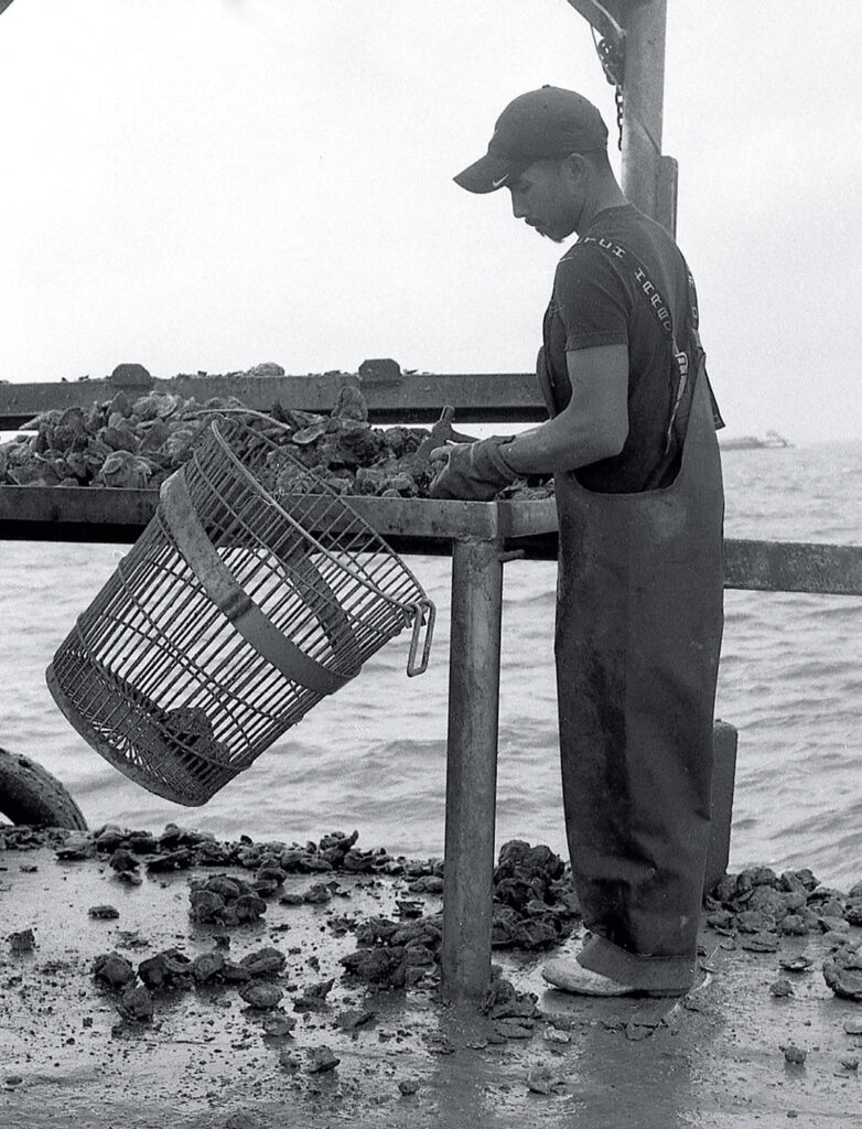 sustainability-on-the-1.jpg